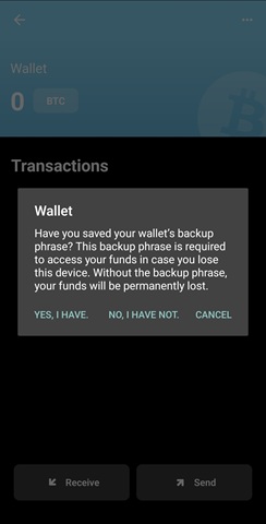 BlueWallet - Backup Confirmation